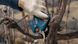 Секатор акумуляторний BOSCH Pro Pruner (12В/каркас) - фото товару 06019K1020