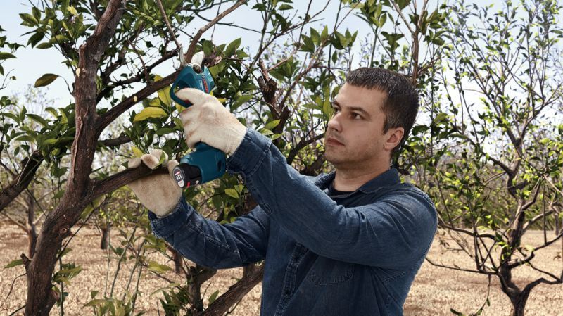 Купити Секатор акумуляторний BOSCH Pro Pruner (12В/каркас) в Україні у Tools Store
