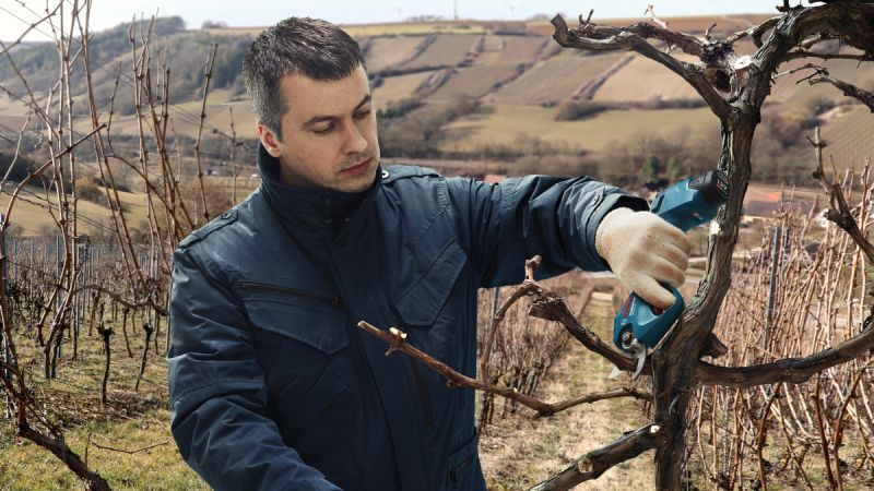 Купити Секатор акумуляторний BOSCH Pro Pruner (12В/каркас) в Україні у Tools Store
