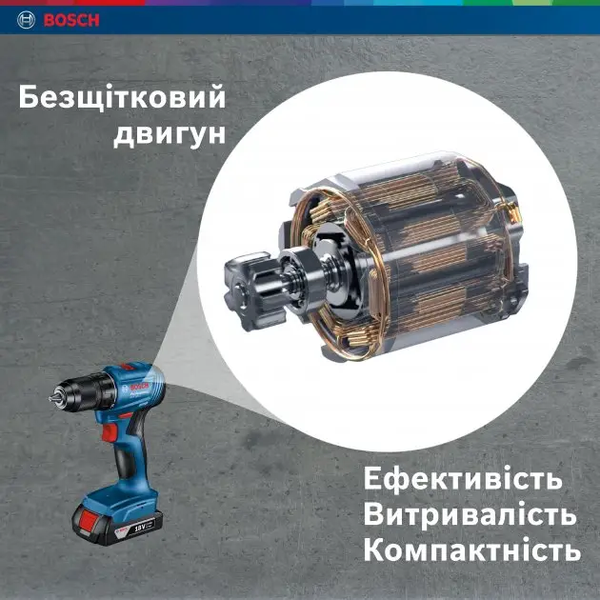 Потужний акумуляторний ударний дриль-шурупокрут Bosch Professional GSB 185-LI із 2 акб GBA 18V 2.0Ah, з/п GAL 18V-20 у кейсі 06019K3100 фото