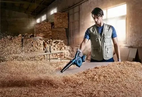 Воздуходувка аккумуляторная BOSCH GBL18V-120 06019F5100 фото