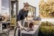 Порохотяг Karcher WD 3 V-17/4/20 (1.628-127.0) - фото товару 2577625694