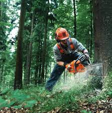 Купити Потужна бензинова ланцюгова пила Husqvarna 365 : Об'єм циліндра 65,1 cm&sup3;, потужність 3.4 кВт, шина 45 см, оригінал Швеція в Україні у Tools Store