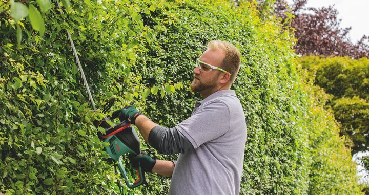 Кусторез электрический BOSCH UniversalHedgeCut 60 06008C0703 фото