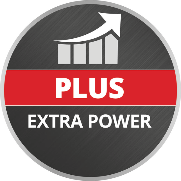 Акумулятор Einhell Power-X-Change Plus 18V 4-6 Ah Multi-Ah (4511502) 4511502 фото