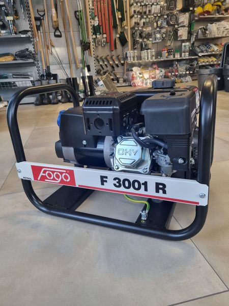 Професійний генератор бензиновий (електрогенератор) FOGO F3001 R : 2.5/2.7 кВт - двигун RATO F3001 R фото